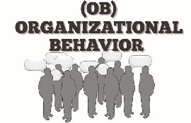 Online quiz An Intorduction to Organizational Behavior