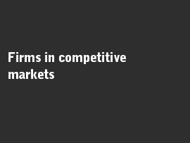 Online quiz Firms in competitive markets
