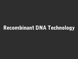 Online quiz Recombinant DNA Technology