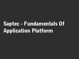 Online quiz Saptec - Fundamentals Of Application Platform