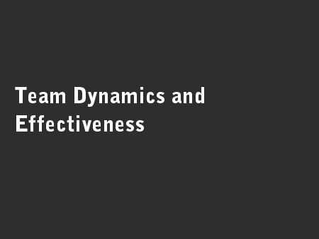 Team Dynamics and Effectiveness