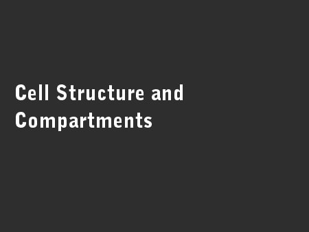 Cell Structure and Compartments