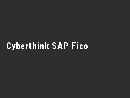 Cyberthink SAP Fico