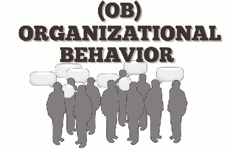 An Intorduction to Organizational Behavior