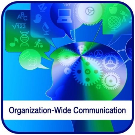 Interpersonal and Organization-Wide Communication