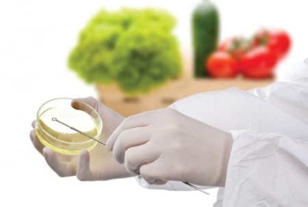Microbiology of Foods