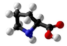 Amino Acid Metabolism