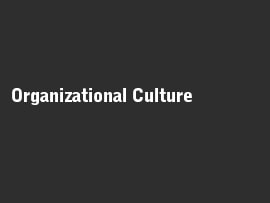 Online quiz Organizational Culture