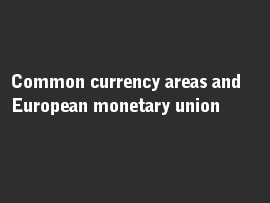 Online quiz Common currency areas and European monetary union