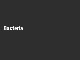 Online quiz Bacteria