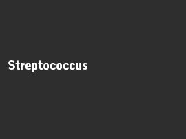 Online quiz Streptococcus