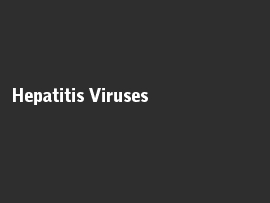 Online quiz Hepatitis Viruses