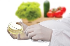 Online quiz Microbiology of Foods