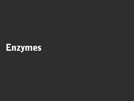 Online quiz Enzymes