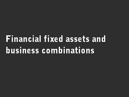 Financial fixed assets and business combinations