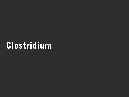 Clostridium