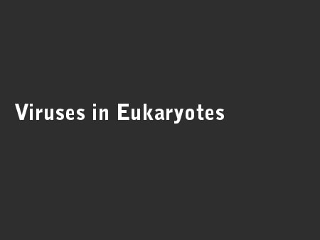 Viruses in Eukaryotes