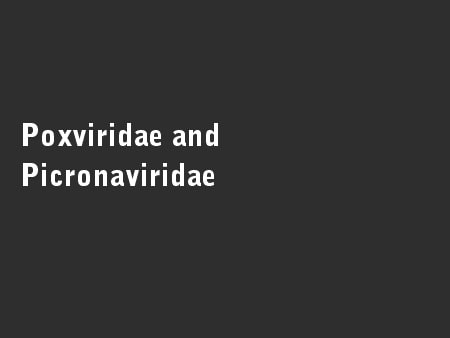 Poxviridae and Picronaviridae