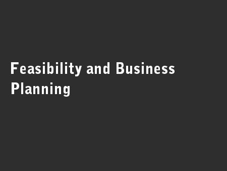Feasibility and Business Planning